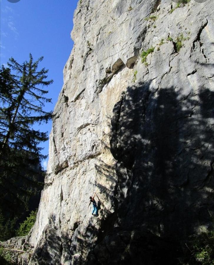 Apartma Jelendol Tržič 外观 照片